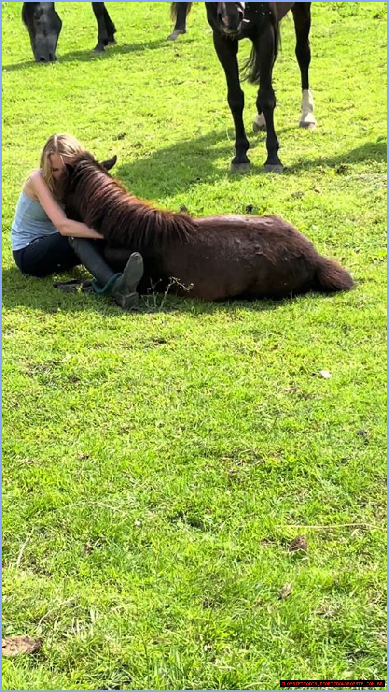 Exploring The Life And Journey Of Casper Henderson Stockwell